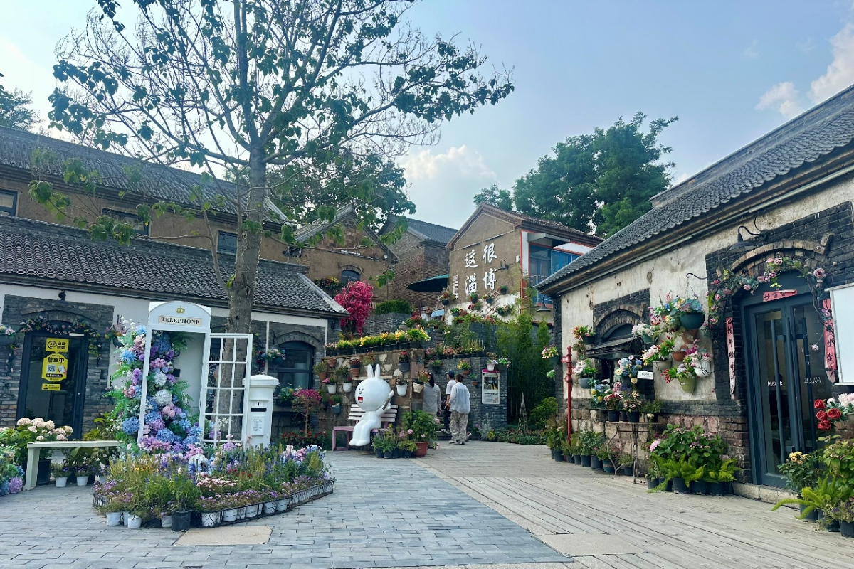 壹点图集｜调研+座谈，淄博举办金融赋能文旅行长行活动