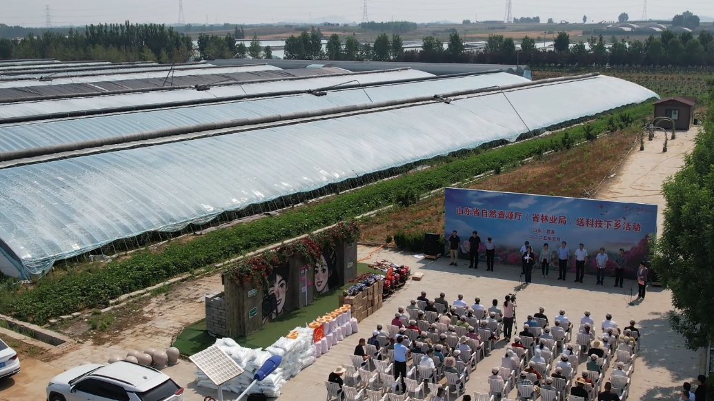 果然视频|省自然资源厅送科技下乡活动走进日照莒县玫瑰基地