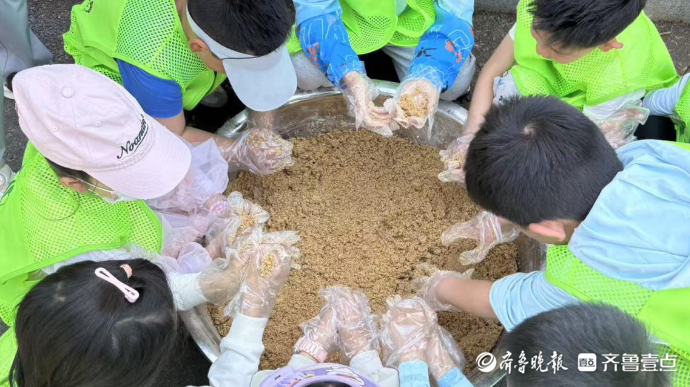 果然视频|粽享六月，与你童乐！小小饲养员为环尾狐猴做粽子