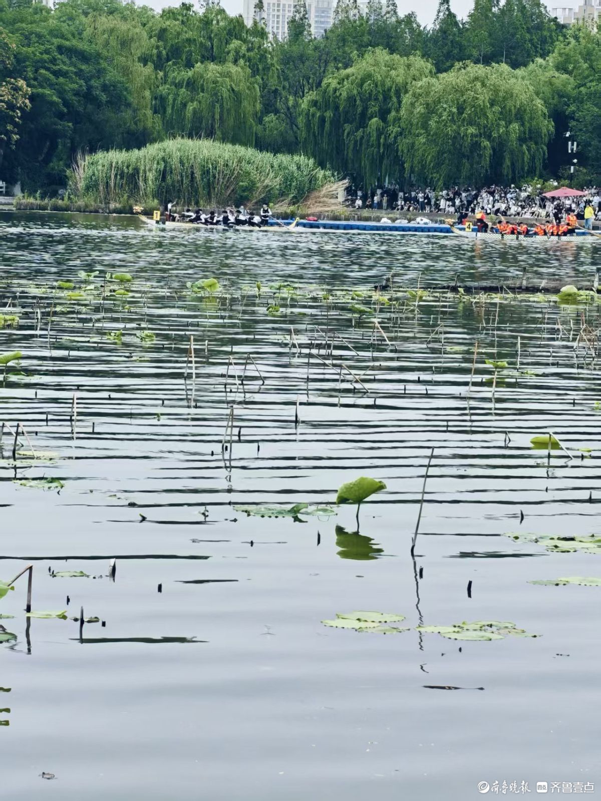 大明湖龙舟赛好热闹