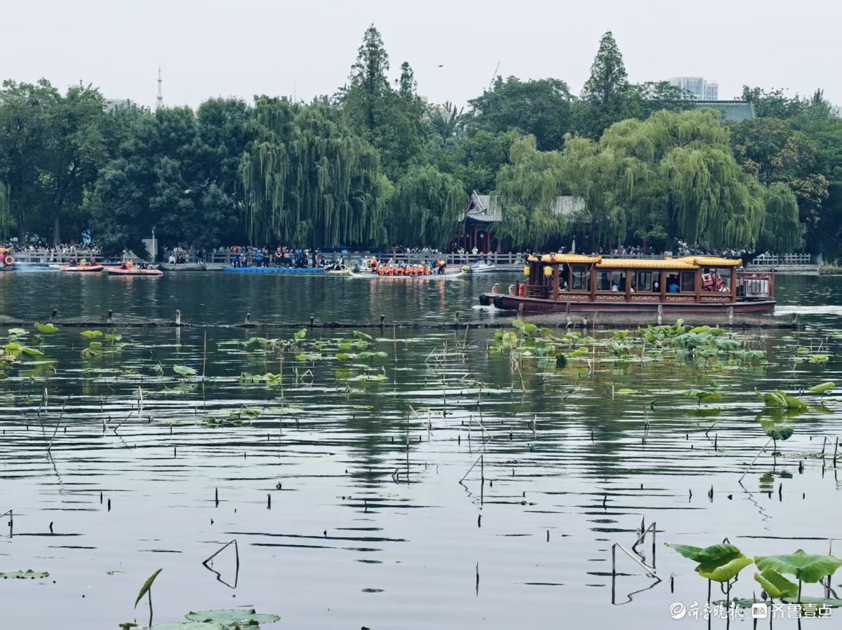 大明湖龙舟赛好热闹