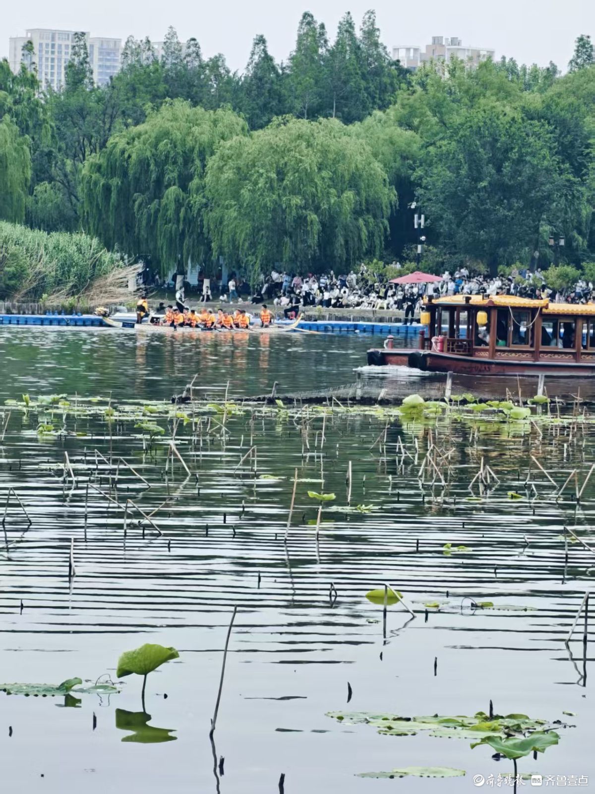大明湖龙舟赛好热闹