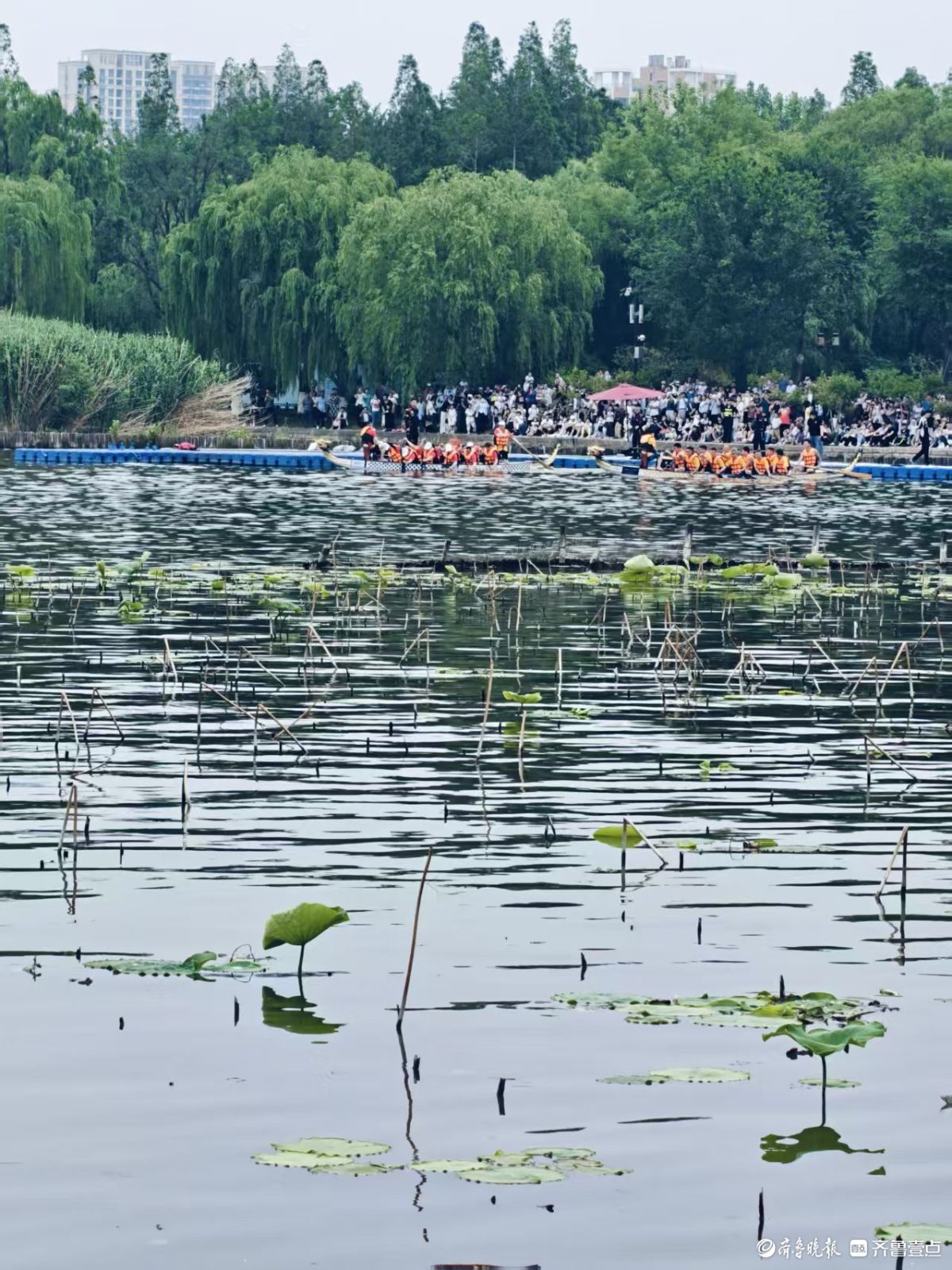 大明湖龙舟赛好热闹