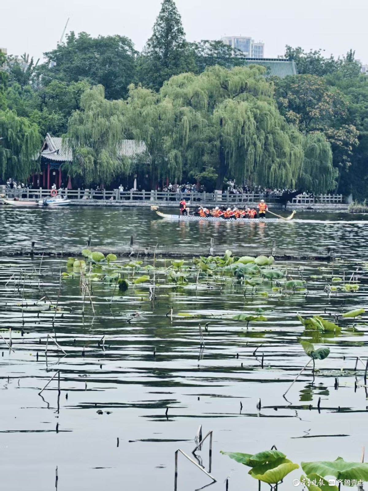 大明湖龙舟赛好热闹