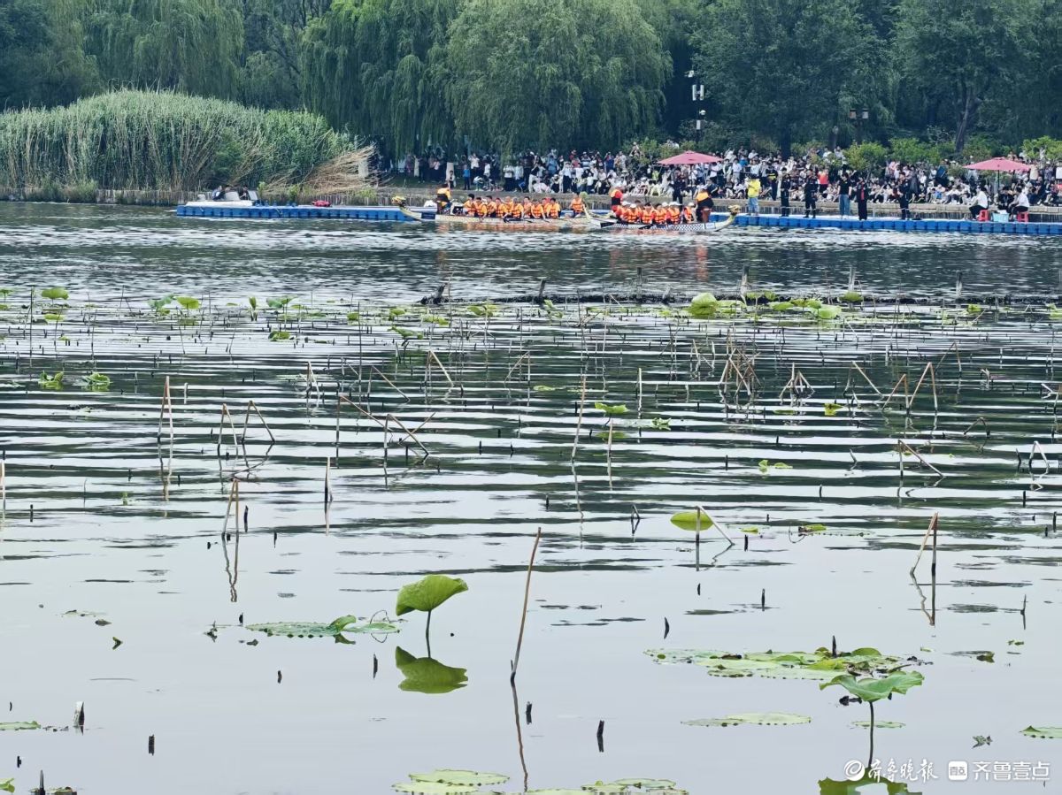 大明湖龙舟赛好热闹