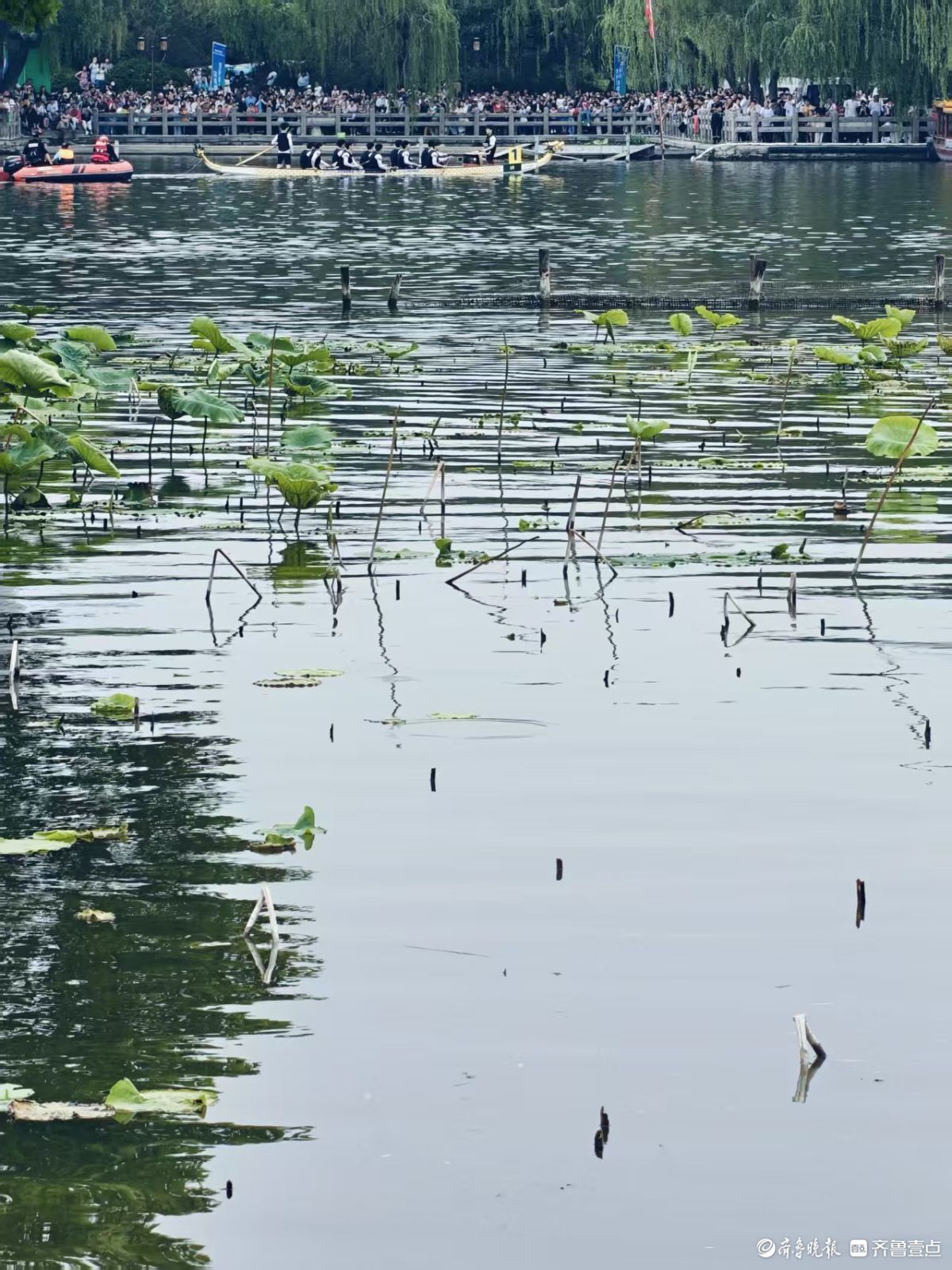 大明湖龙舟赛好热闹
