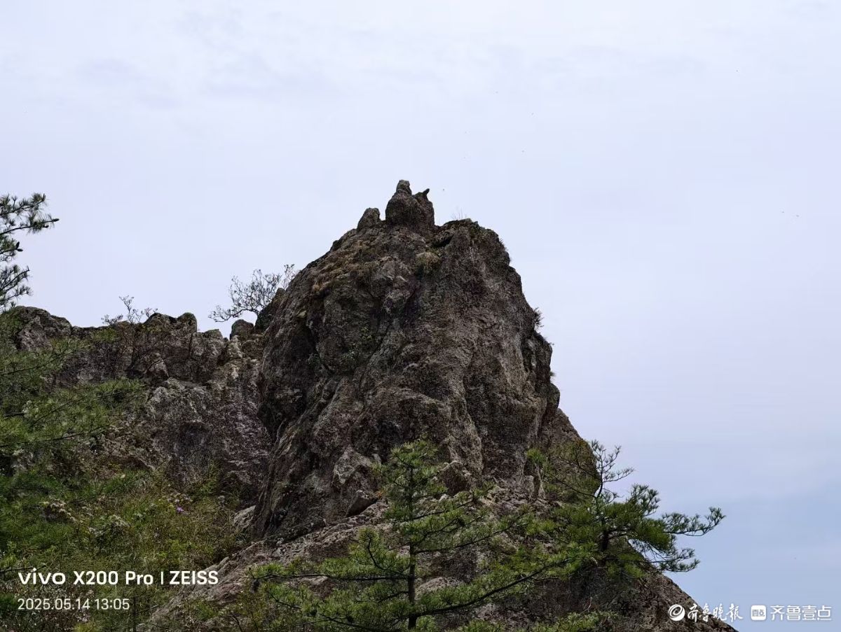 打卡老君山，人间仙境入画来