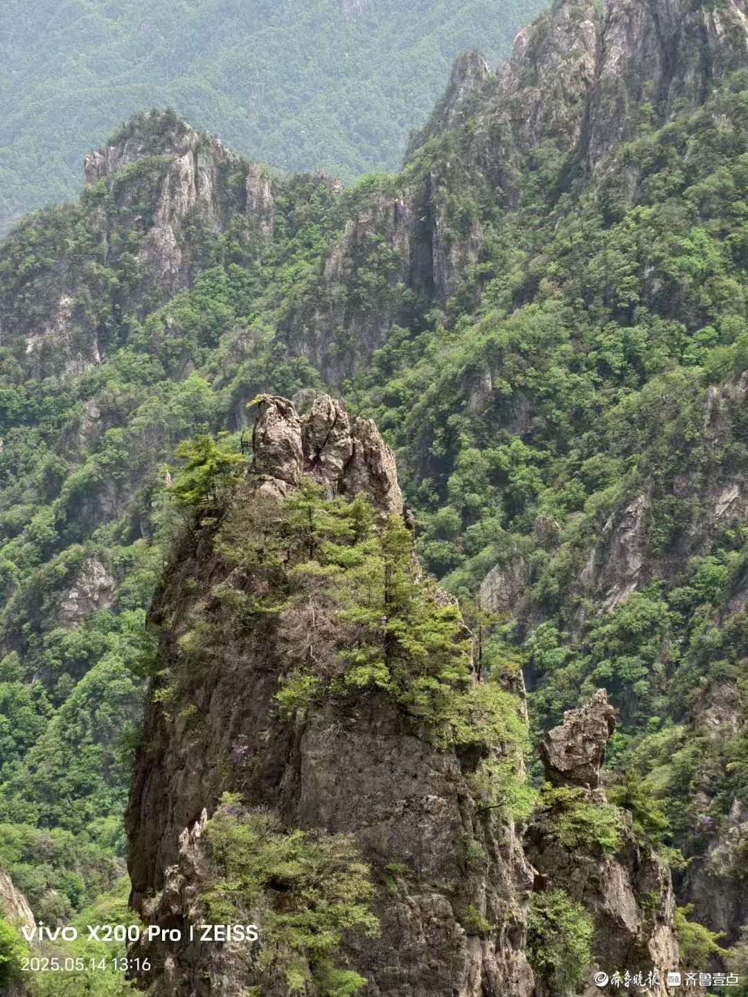 打卡老君山，人间仙境入画来