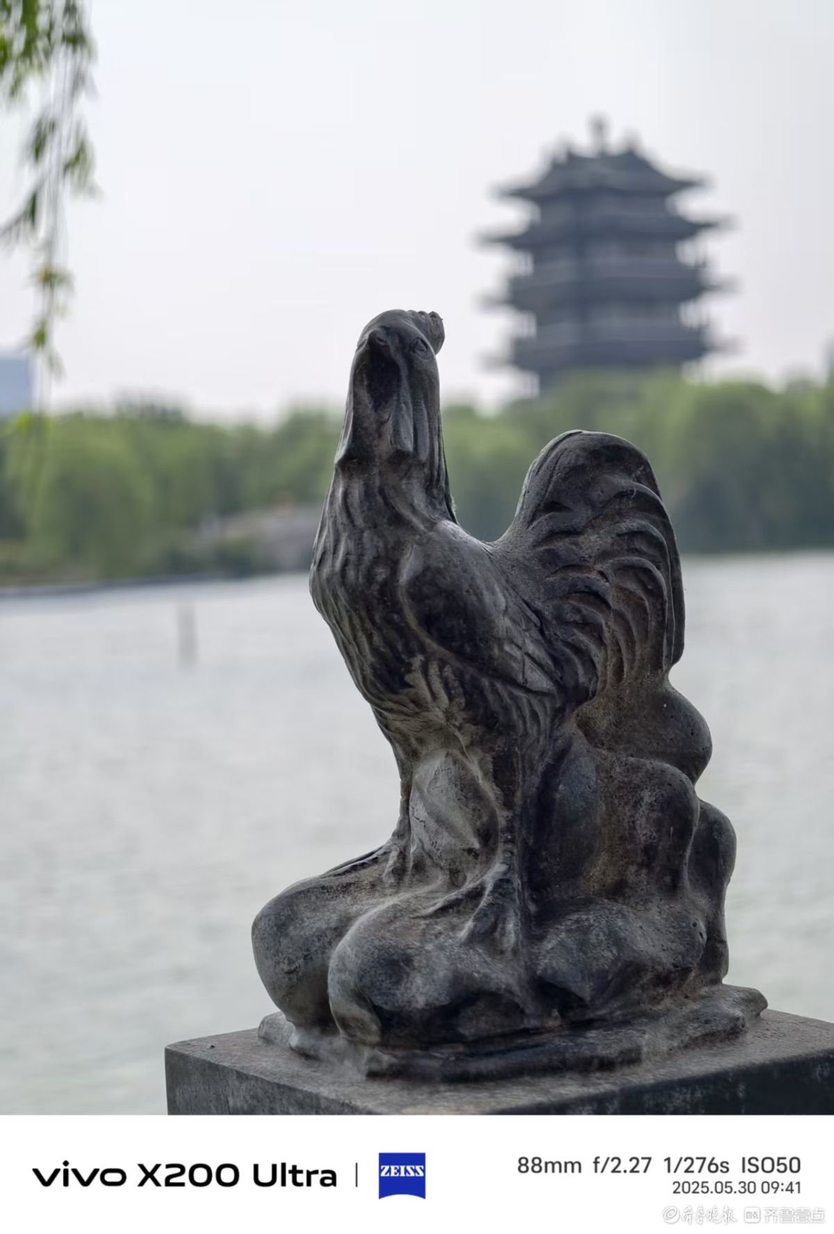 大明湖随拍，我在记录