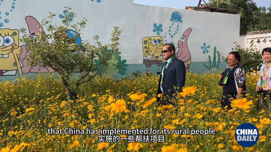 Shandong boosts rural ties with Pacific Island countries