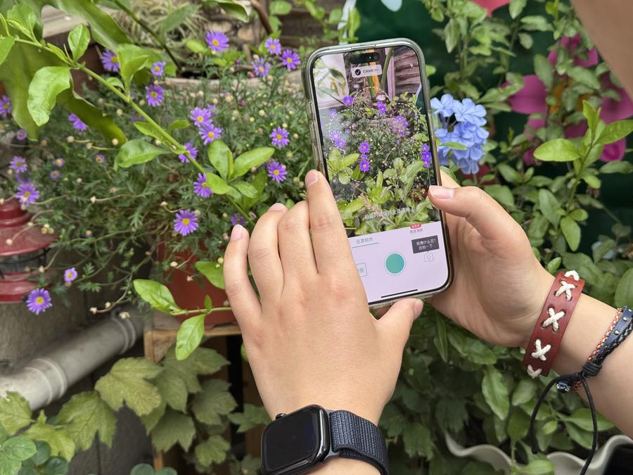Smart tech changing how Chinese people experience nature