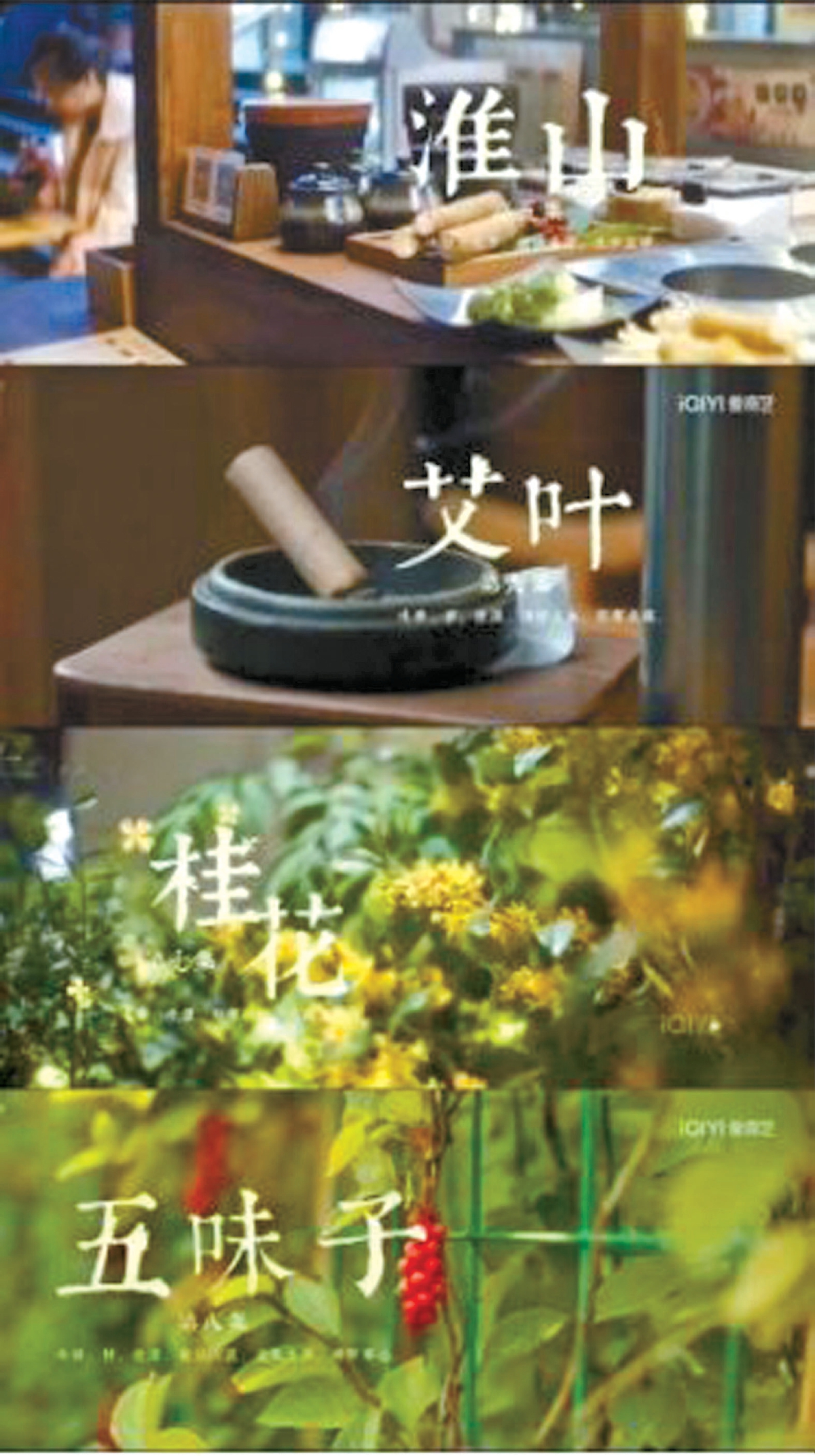 养生元素融入剧情，中医剧缘何让年轻人上头