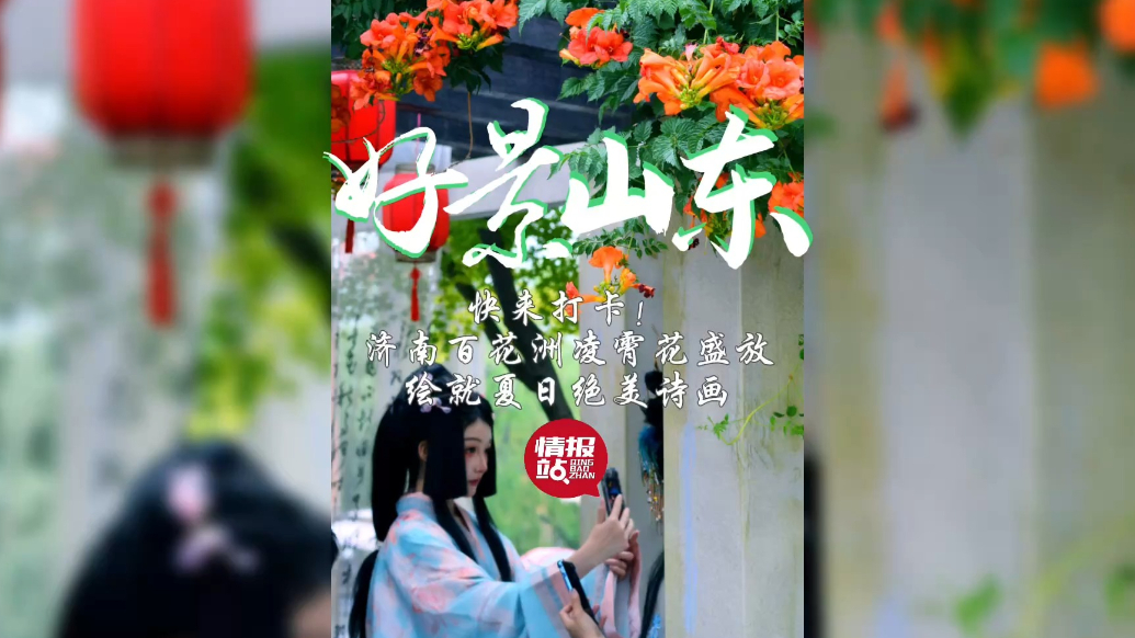 果然视频·好景山东|济南百花洲凌霄花盛放，绘就夏日绝美诗画！