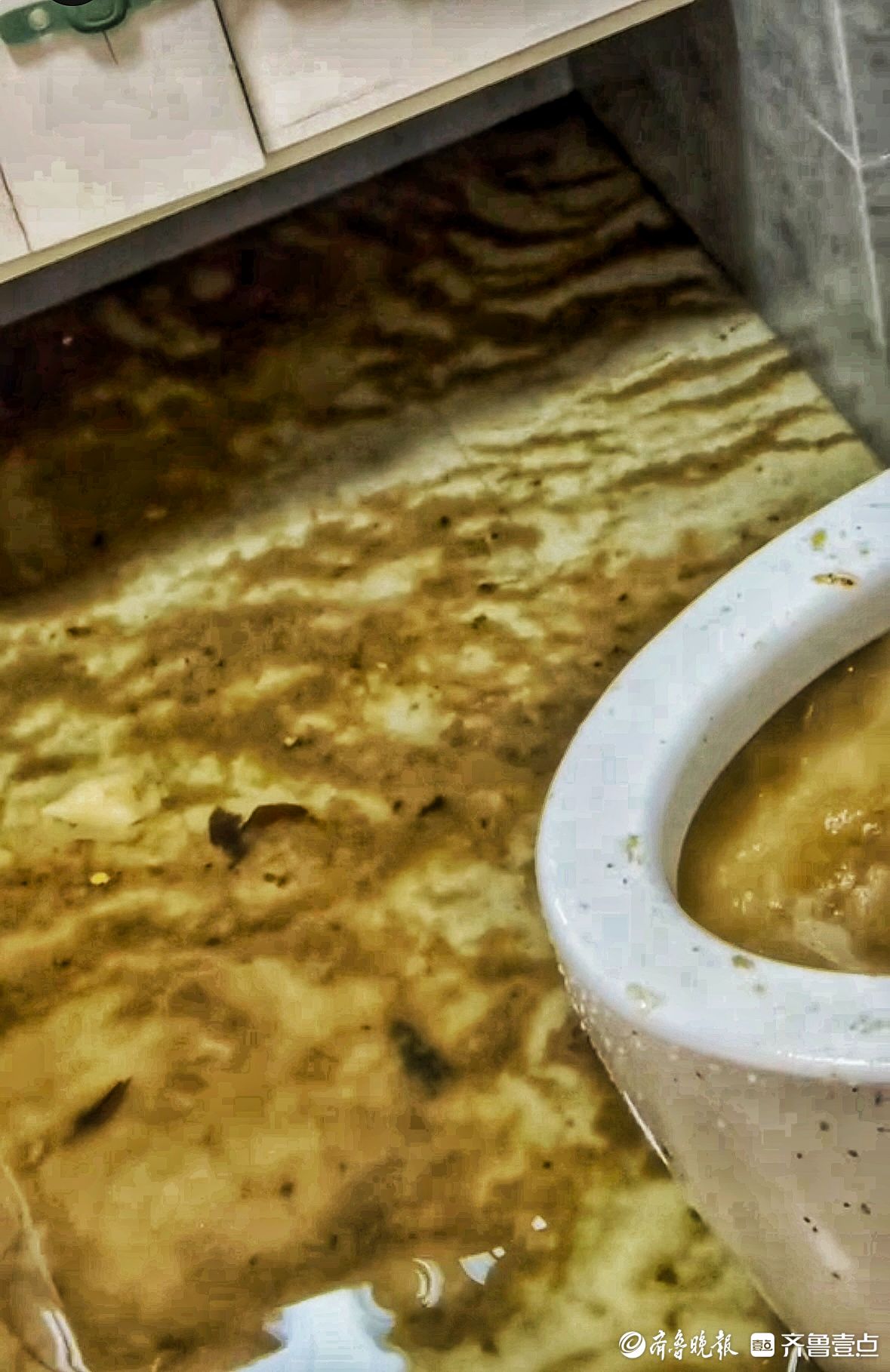 壹点帮办丨红木家具遭粪水浸泡！青岛一住户频陷“污水之困”