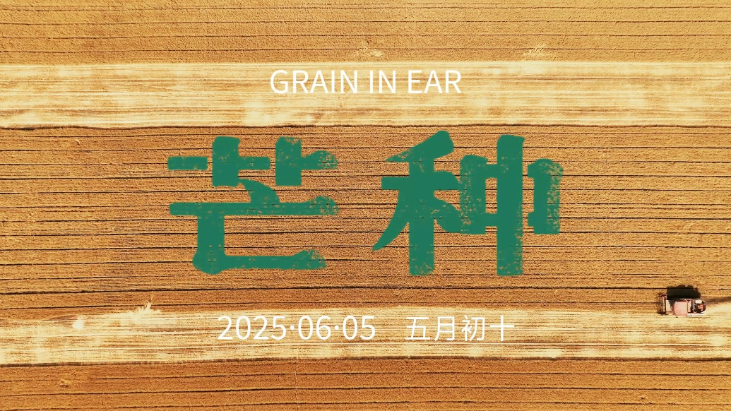果然视频|时令·芒种