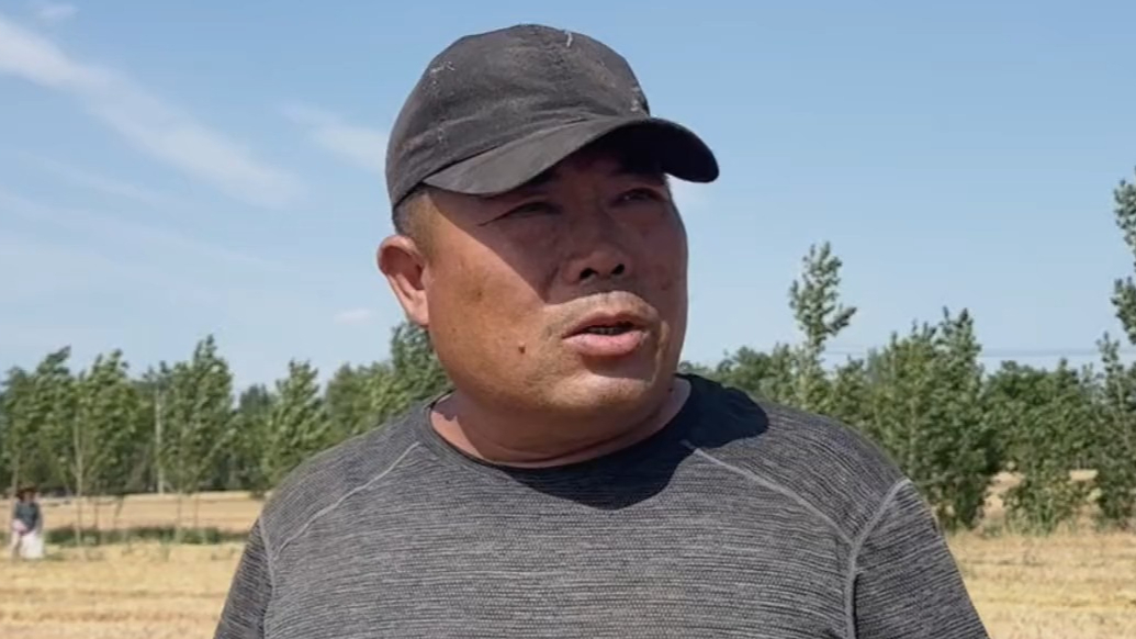 果然视频丨粮食收购价较去年降低，泰安农户：但今年丰收了还是很开心