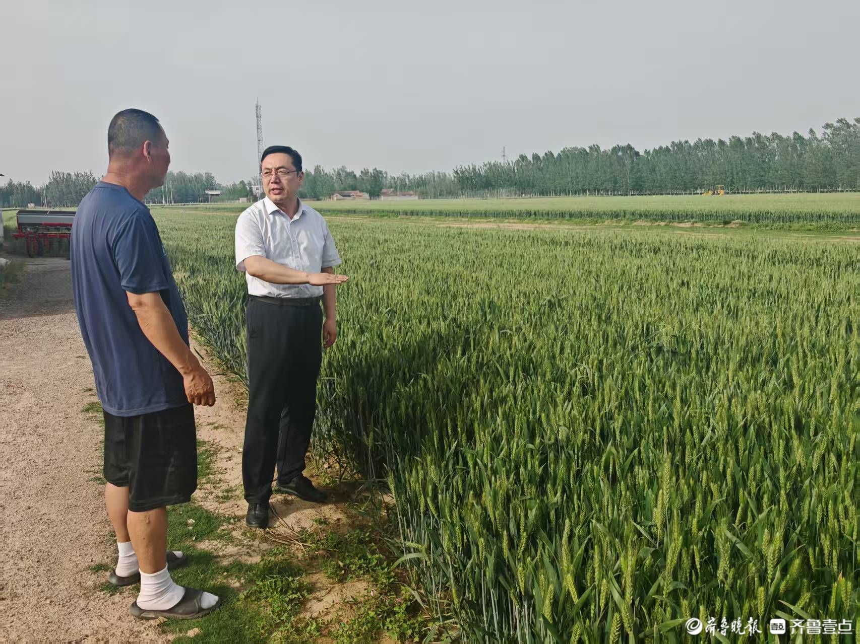工商银行聊城分行金融助力保丰收