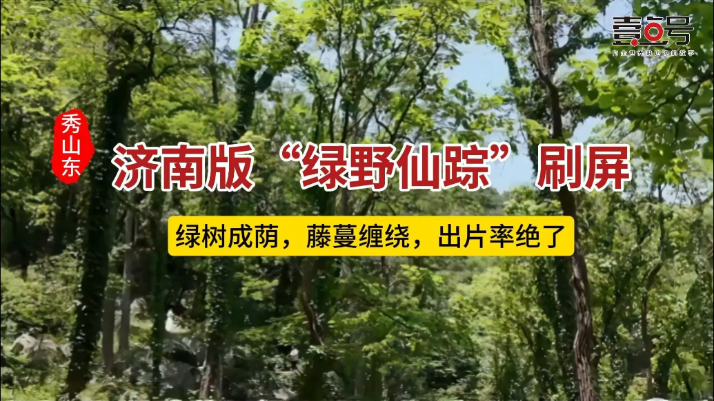 壹点号·秀山东|🌳济南版“绿野仙踪”刷屏！这片藤蔓缠绕的森林也太仙了