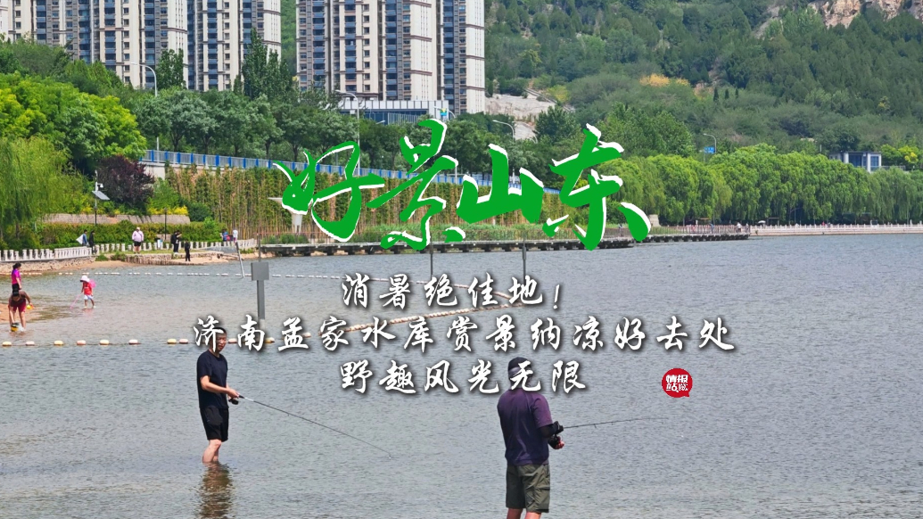 果然视频·好景山东|济南孟家水库野趣无限，赏景纳凉好去处 