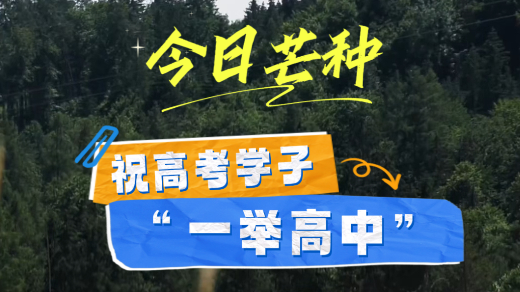 果然视频｜AI数字主播话节气——芒种