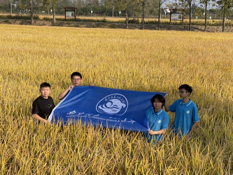 南信大“智同稻合”小队探秘章丘明水香稻