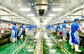 顺链探鸭②|屠宰车间的价值战争：一只鸭分解出200亿元产业链
