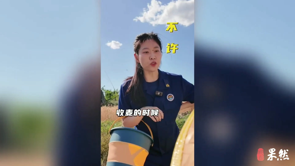 果然视频|麦收勿忘消防安全！消防员的安全提示请收好