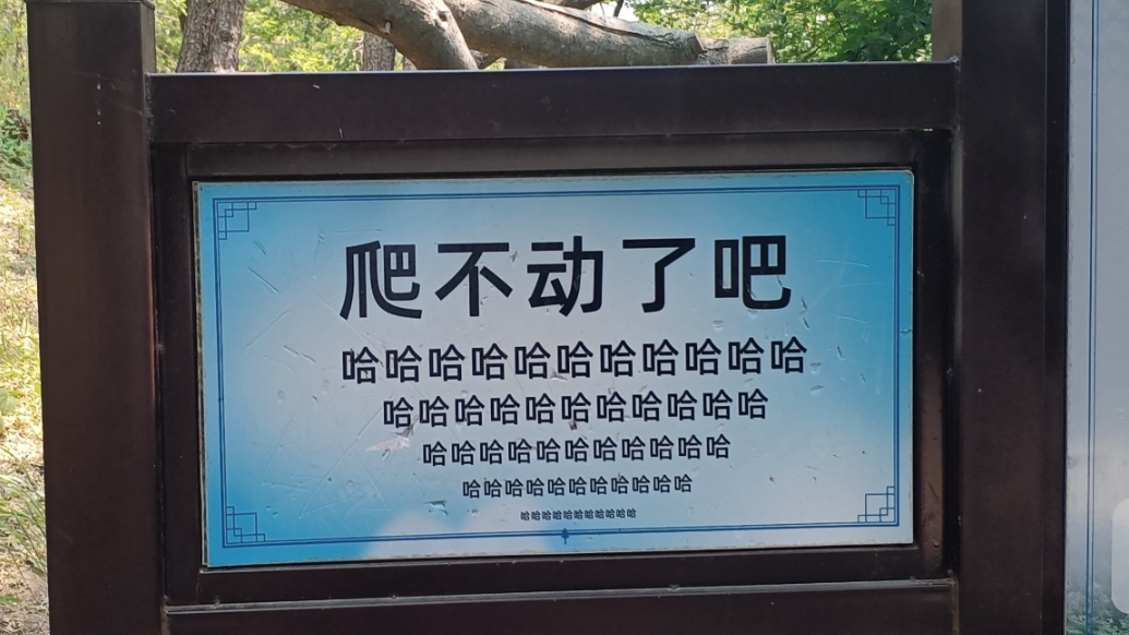 琴视频丨“爬不动了吧”青岛琅琊台景区指示牌“嘲讽感拉满”