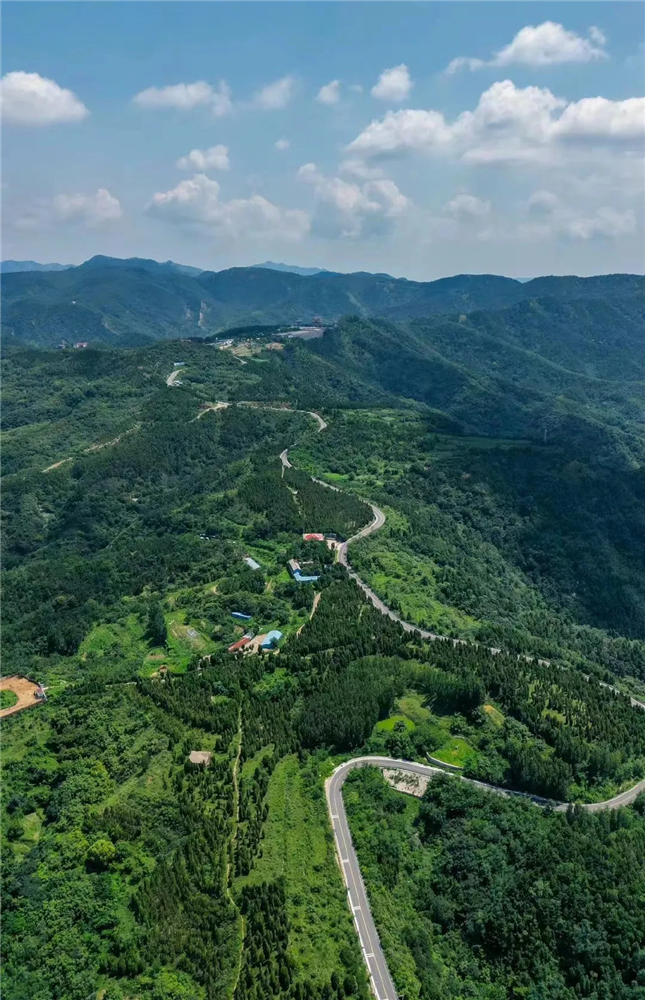 Road trips in Shandong: Explore beauty of nature by car
