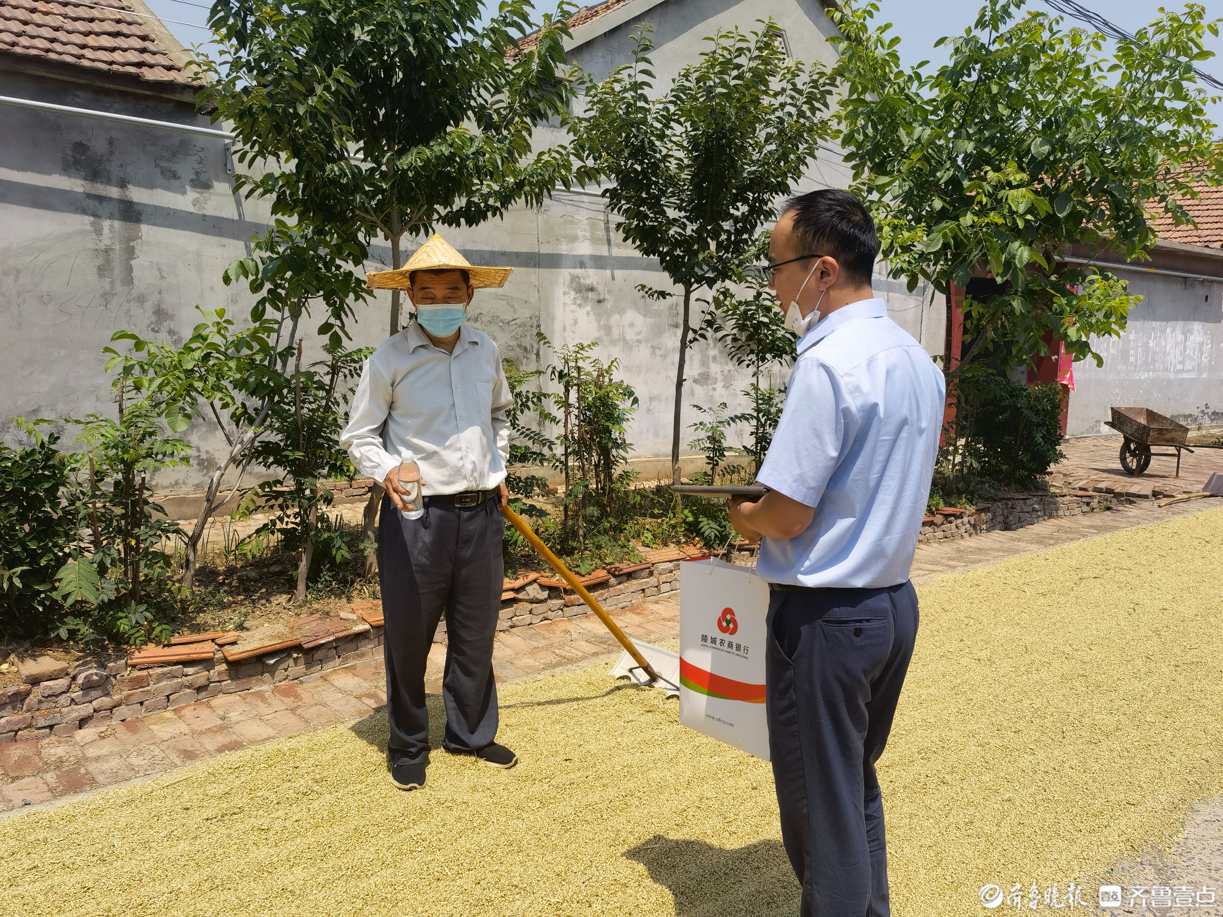 陵城农商银行：锁定夏收需求底数 助乡村富“甲”一方