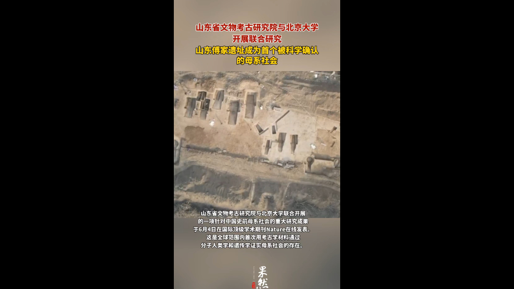 果然视频｜两地开展联合研究，傅家遗址缘何被确认为母系社会