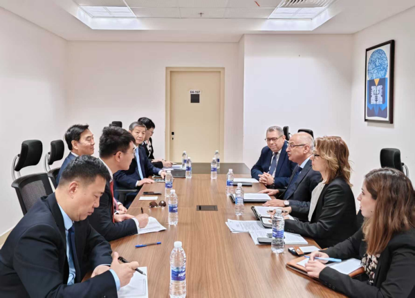 中国政府中东问题特使翟隽访问埃及