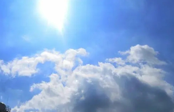 芒种时节防“苦夏” 养生清补忌贪凉