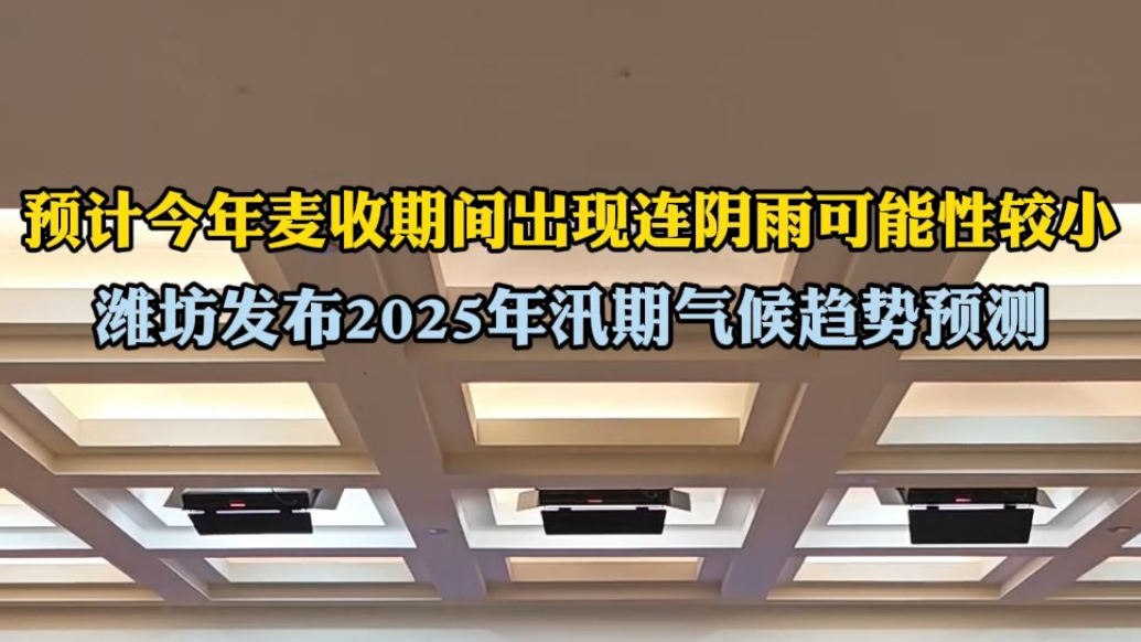 果然视频|今年麦收期间天气如何？潍坊发布汛期气候趋势预测