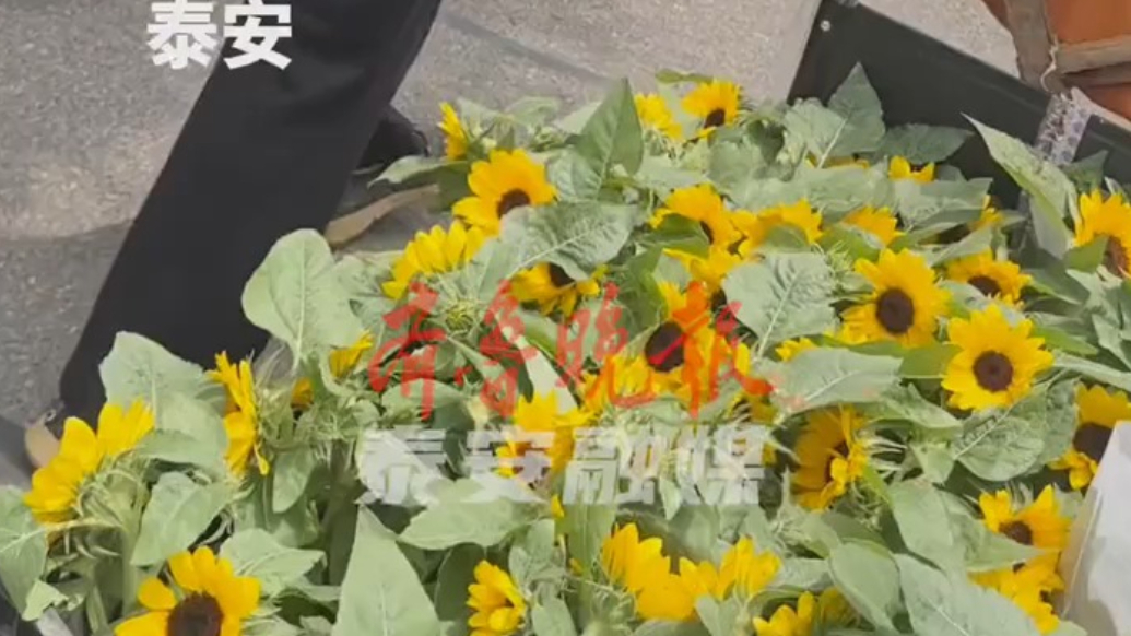 果然视频｜2025高考首日，大姨考场外推车卖鲜花，“自己种的，9.85元一盆”