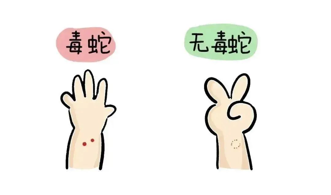 淄博市自然疫源性疾病定点医院名单来了，附科学处置方法，请收好
