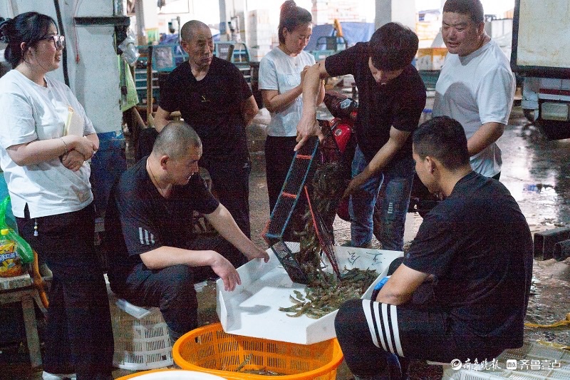 今视角 | 电商直播助力海鲜销售，500 斤虾一小时售罄