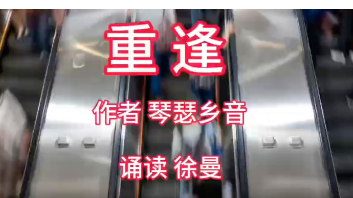 诗文诵读｜许曼：重逢（作者：琴瑟乡音）