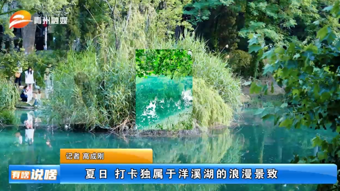 夏日 打卡独属于洋溪湖的浪漫景致