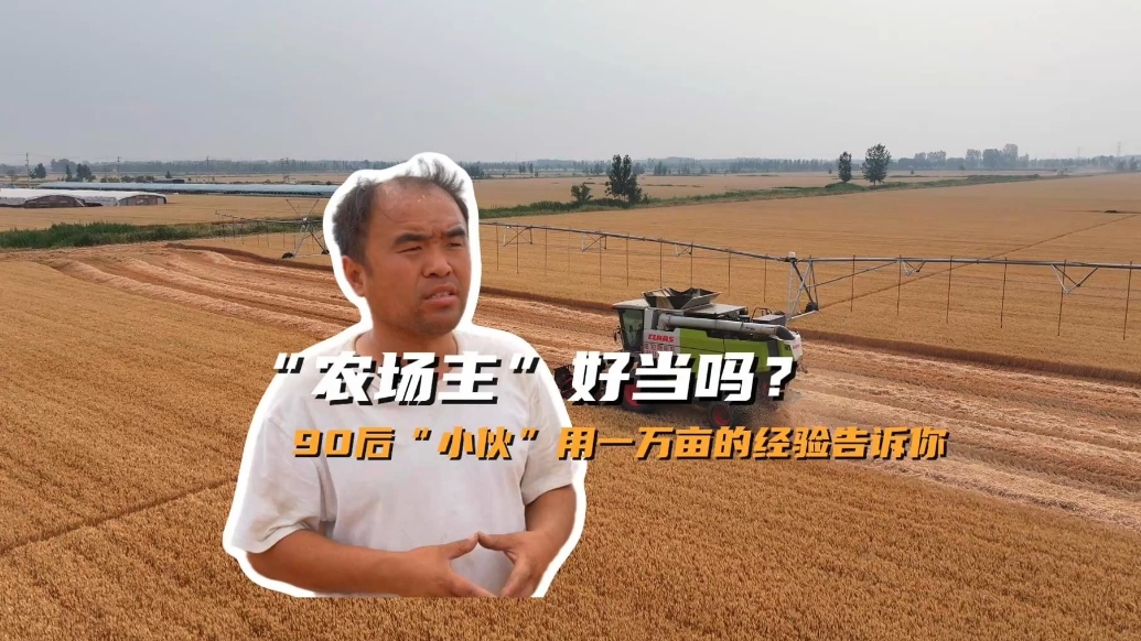 微纪录·聊城｜收割机里看麦收，“90后”的万亩土地藏致富经
