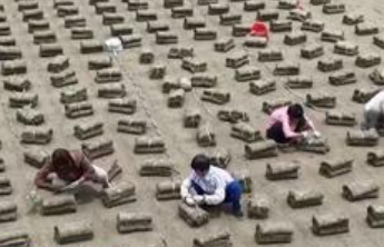 聚焦就业、教育等民生保障最关键问题，各部门推出一系列举措→