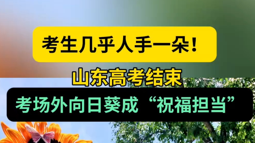 高考情报站|山东高考落下帷幕，考场外向日葵成“祝福担当”