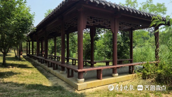 热浪袭人，德州沙王河公园打造清凉秘境