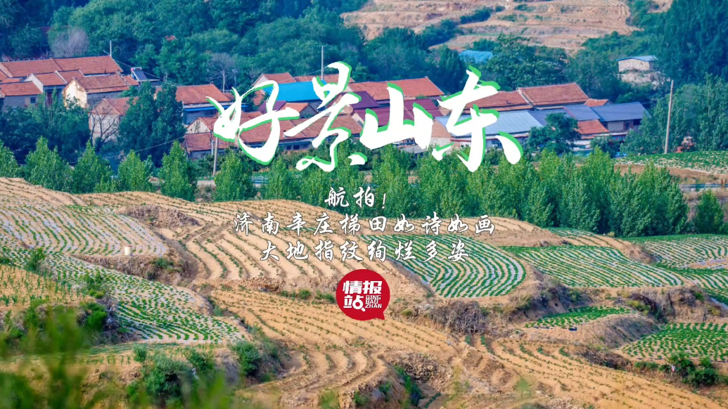 果然视频·好景山东|航拍济南辛庄梯田如诗画，大地指纹绚烂多姿