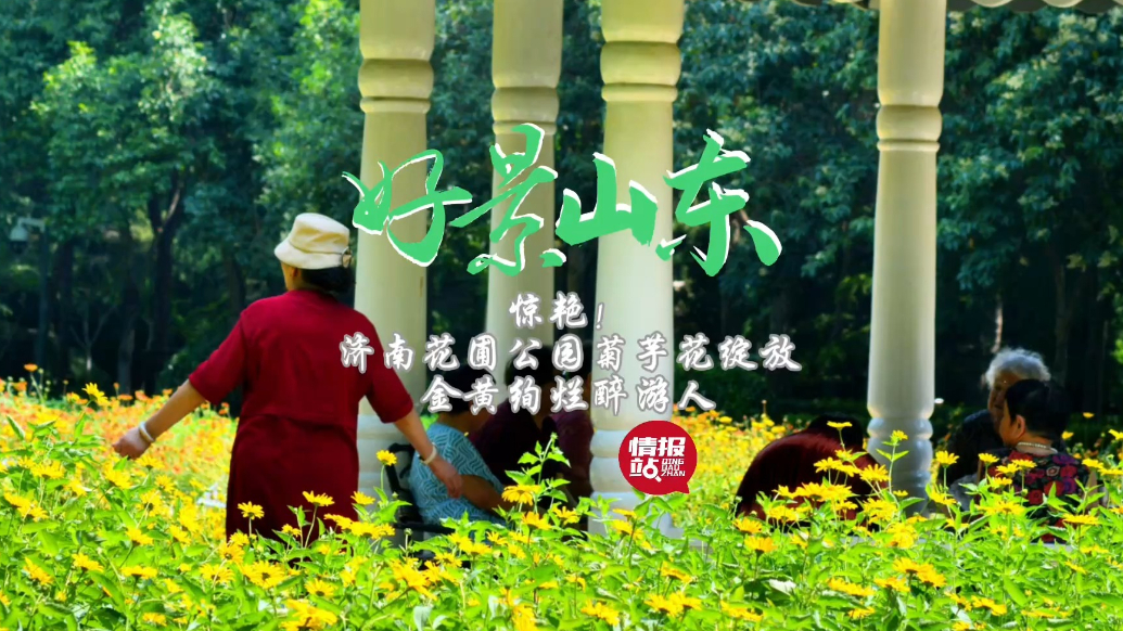 果然视频·好景山东|济南花圃公园菊芋花绽放，金黄绚烂醉游人！