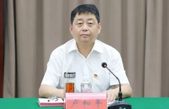 大搞权钱交易、非法收受巨额财物，卢和平被开除党籍和公职