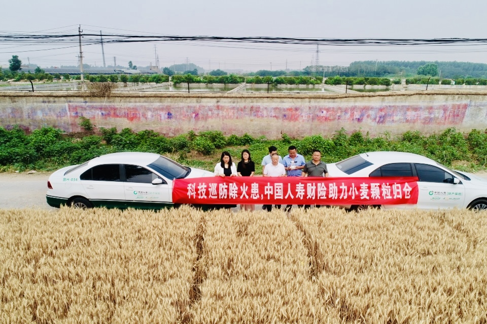 科技护航粮归仓，无人机巡防守护汶上“三夏”生产
