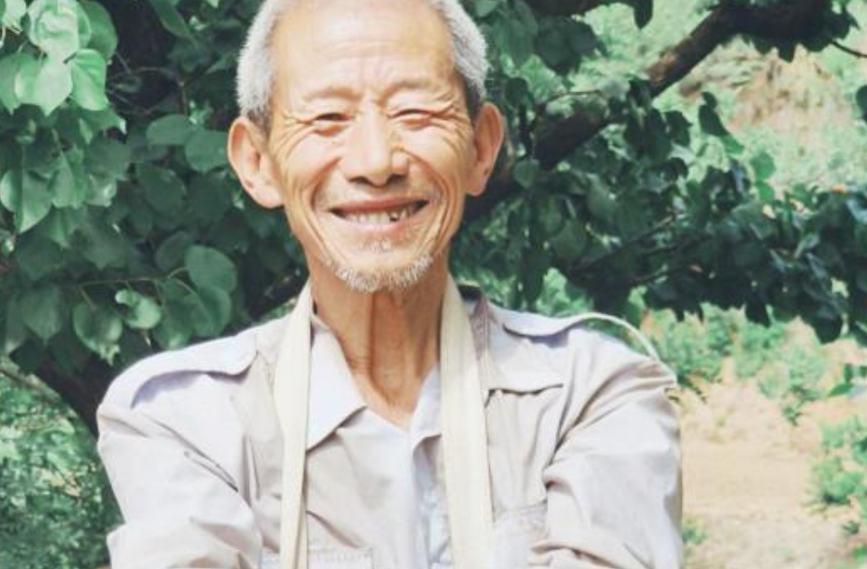 “杏福”时刻：济南市长清区张夏街道万亩御杏收获季已近尾声