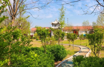 新泰市宫里镇马泉村推进农村人居环境整治显成效，乡村振兴焕发新气象