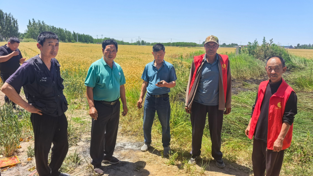 果然视频丨麦田内火苗半米高，防火巡逻队出动保住数百亩小麦